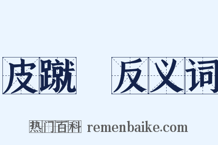 皮蹴毱反义词是什么意思的图片